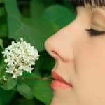 Improving Facial Contours